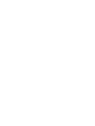ALE Logo